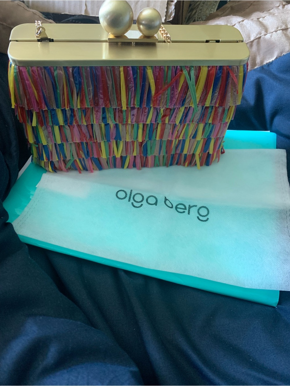 Olga Berg Rainbow Fringe Clutch with Gold Frame